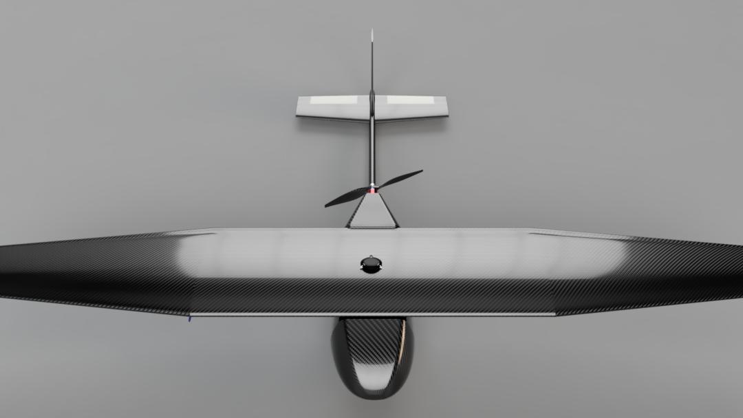 Dual-Platform Delivery System